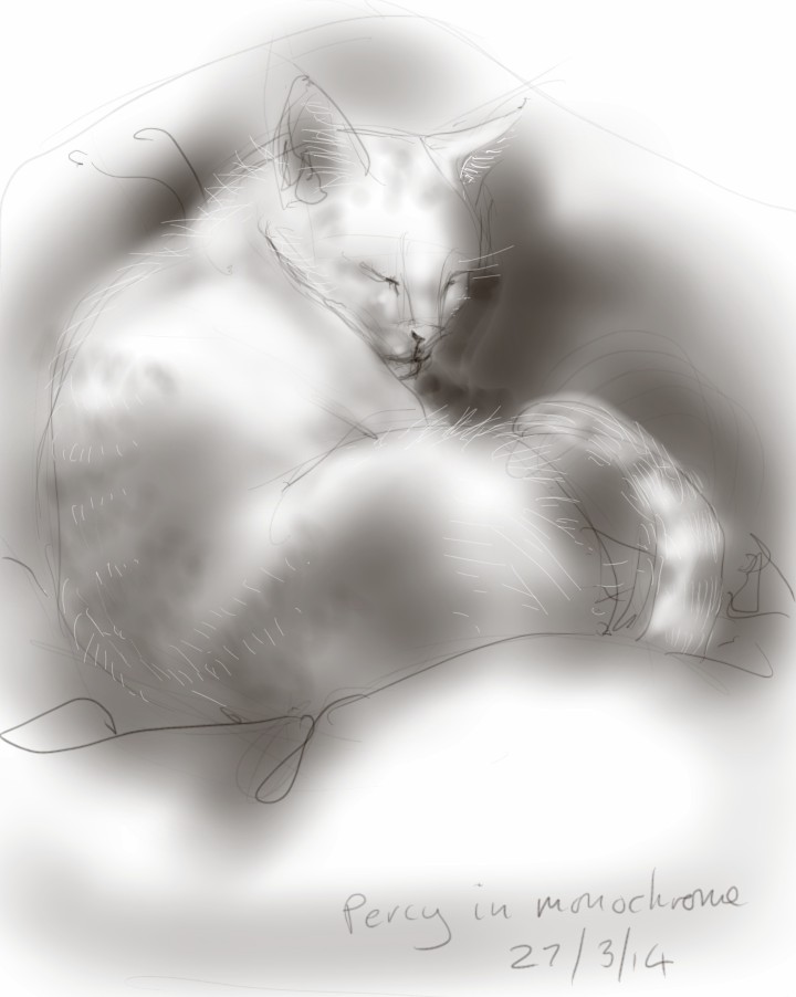 Percy Cat in Monochrome