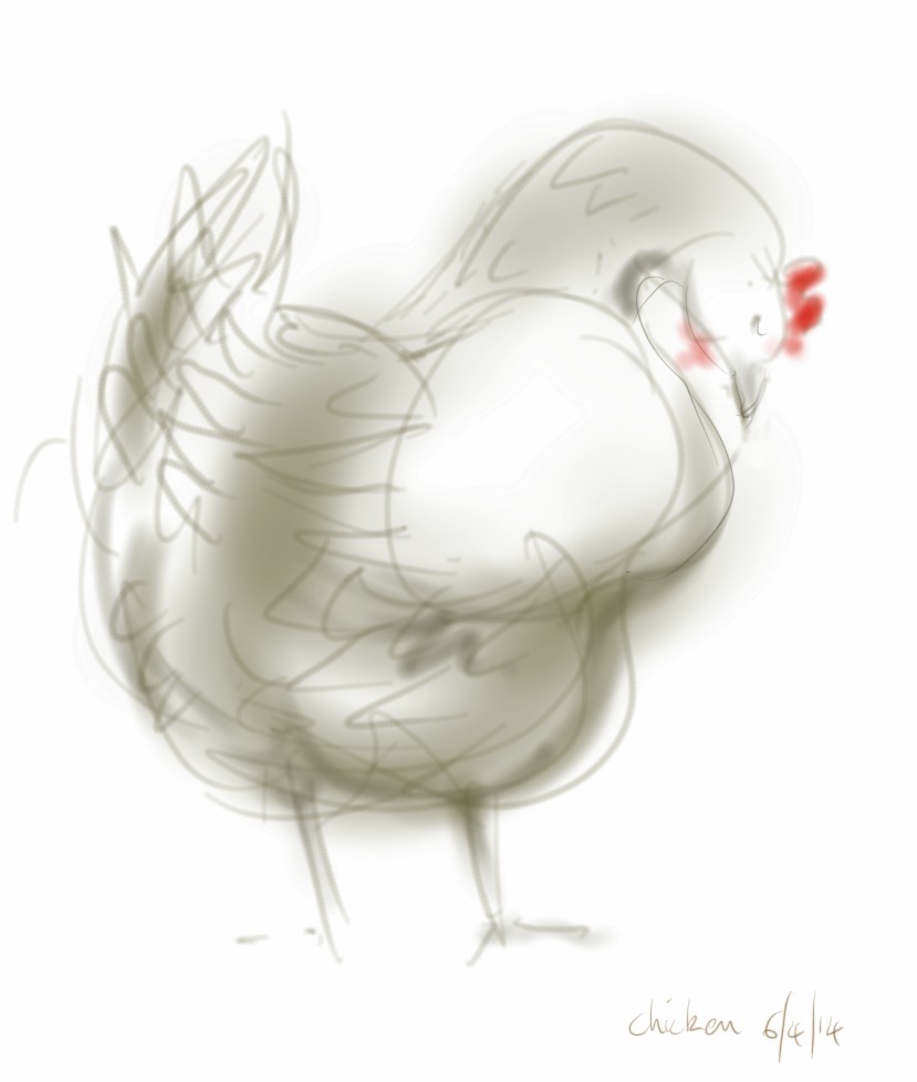 Unfinished chicken
