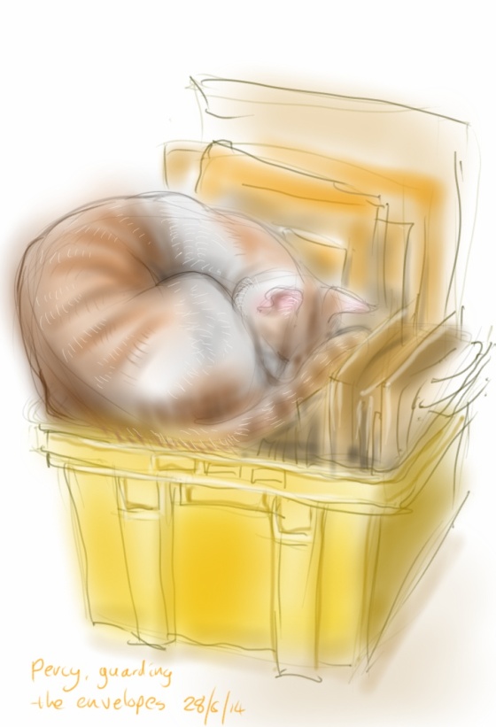 Percy in a yellow box